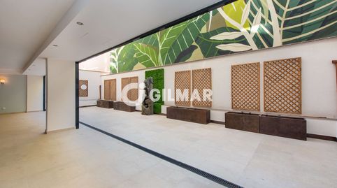 Presentamos este espectacular bajo a estrenar con una magnífica terraza ubicado en el barrio de Guindalera en el distrito de Salam, imatge 2