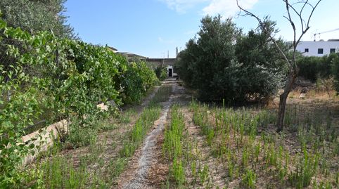 Foto 3 de Residencial en venda a Avenida Circunvalación, 5, Carretera de Granada - La Alcazaba, Alhendín