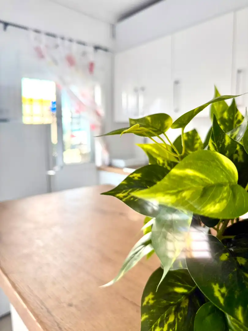 Apartament de lloguer a Calle Ramón y Cajal, imagen 9