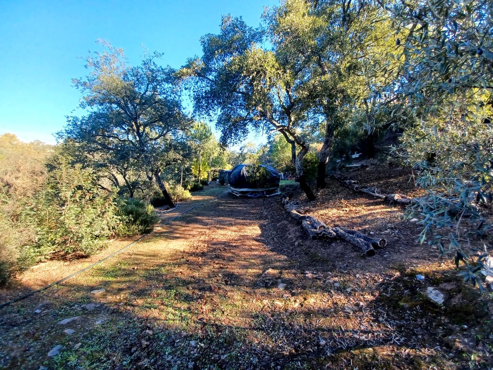 Casa o xalet en venda a Los Lagos