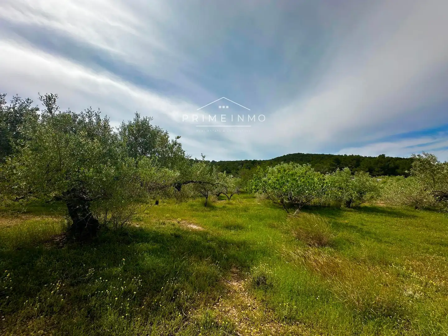 Terreno rústico en venta en Tivissa, imagen 54