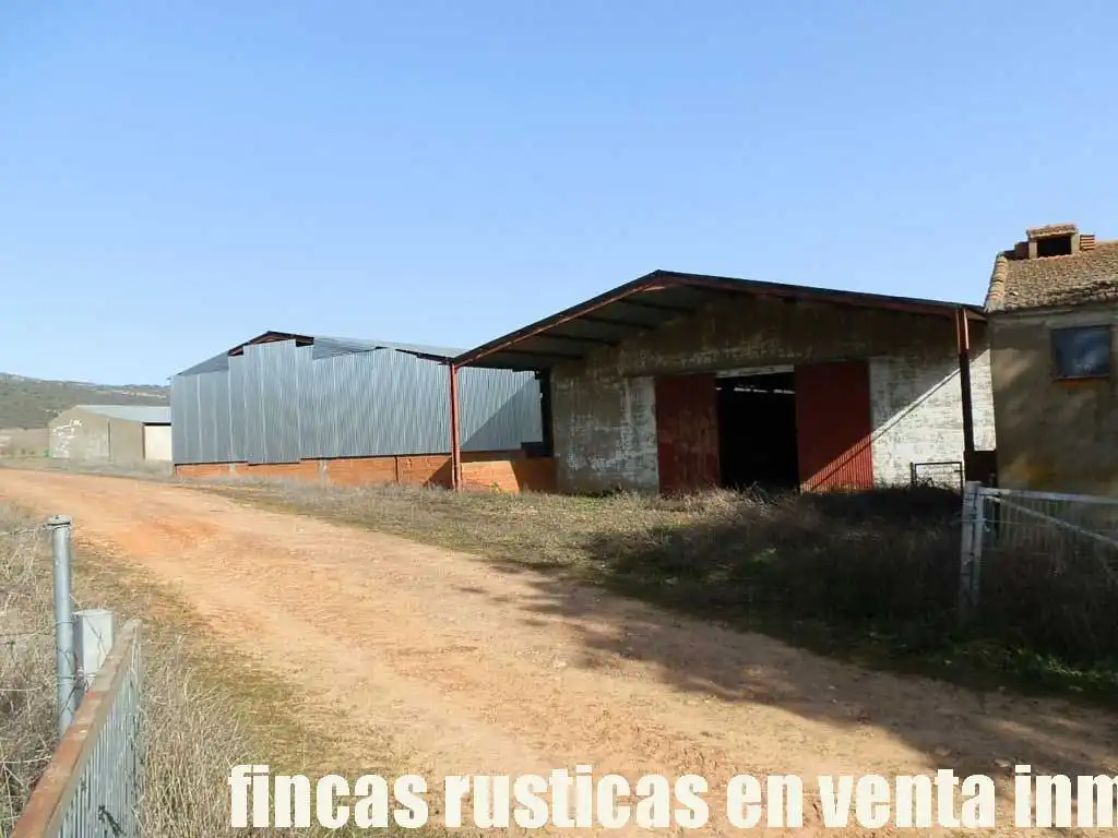 Terreny rústic en venda a Puebla de Don Rodrigo, imagen 10