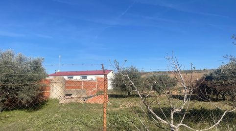 Photo 4 of Land for sale in Camino Torre, Santa Cruz del Retamar pueblo, Santa Cruz del Retamar