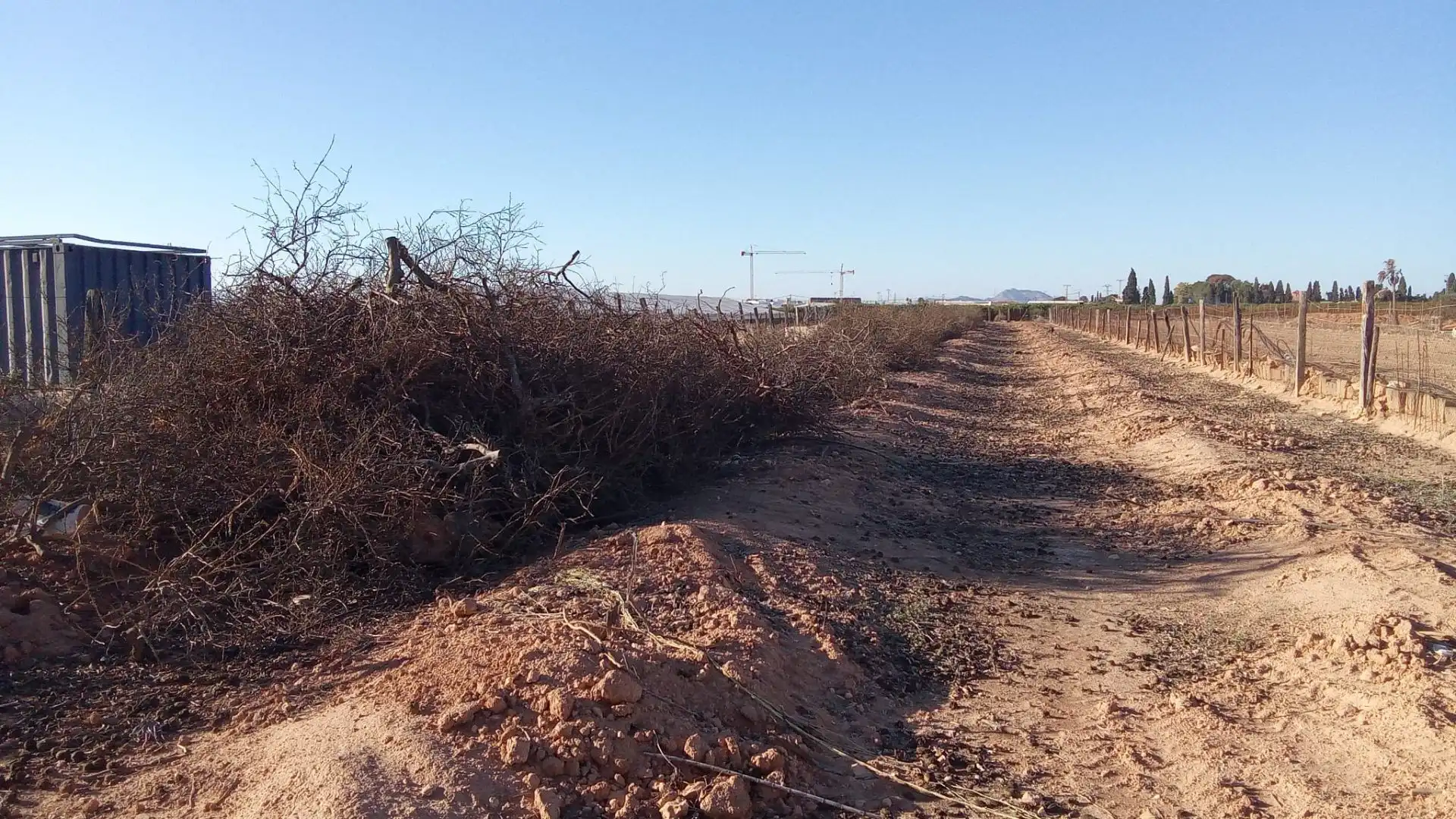 Terreno en venta en Pilar de la Horadada