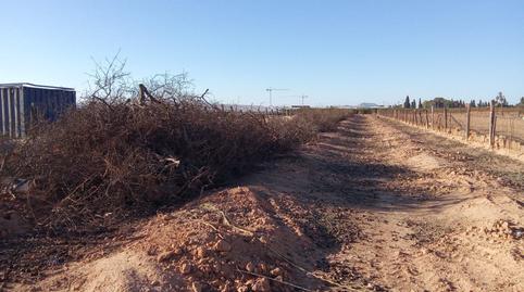 Photo 4 of Land for sale in Pilar de la Horadada ciudad, Alicante