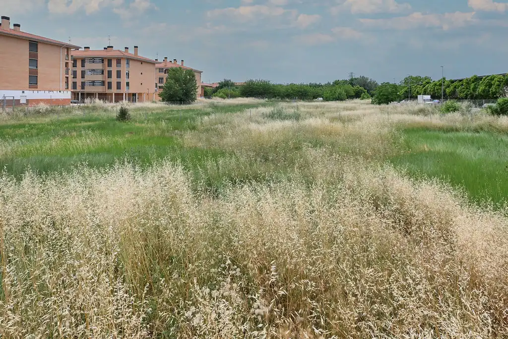 Büro zum Verkauf in Calatayud