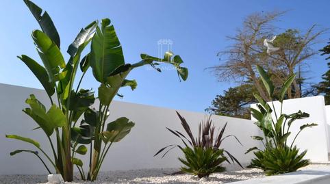 Photo 4 of House or chalet for sale in Caceres, Conil, Cádiz