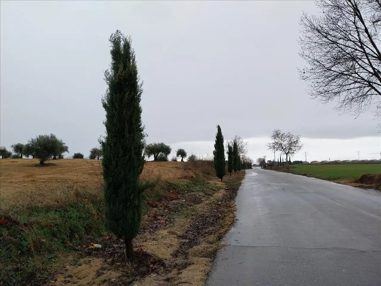Terreny rústic en venda a Burguillos de Toledo, imagen 11
