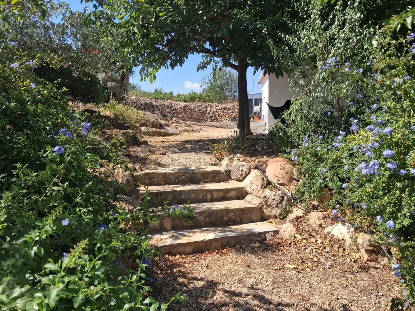 Garden of Houses for sale in Xerta