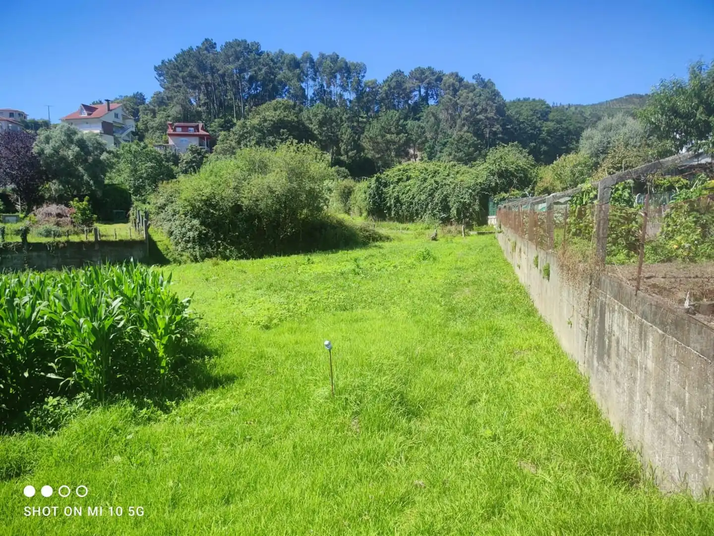Terrain rustique à vendre à Valadares - Beade