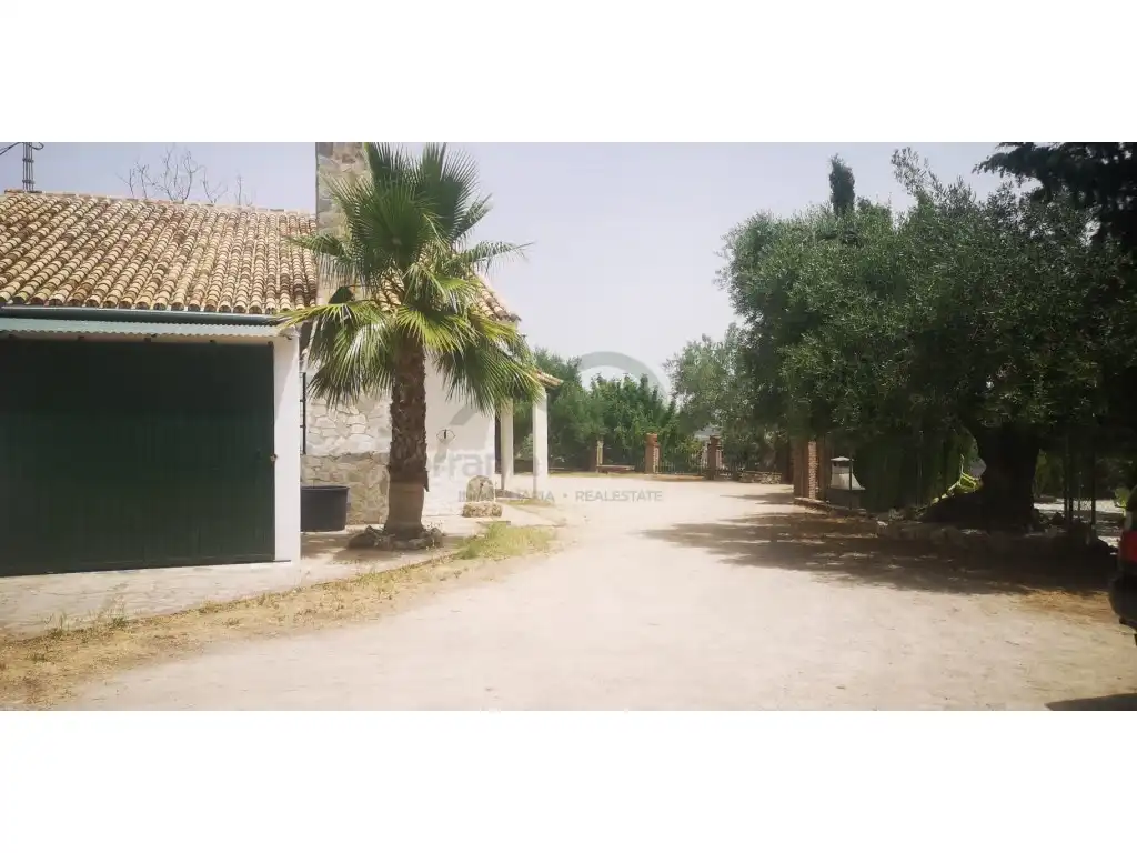 Vista exterior de Finca rústica en venda en Zahara
