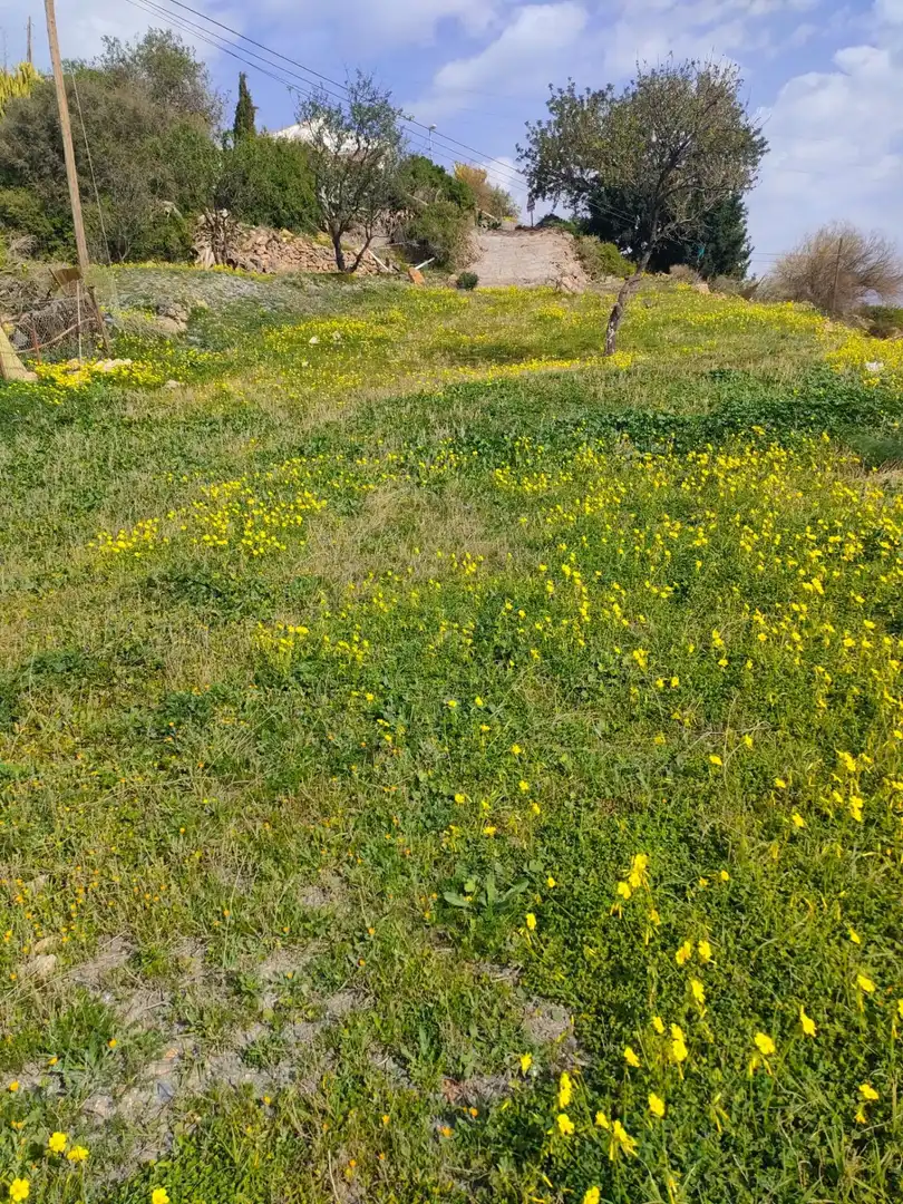 Terreny residencial en venda a Vega del Chortal, imagen 11