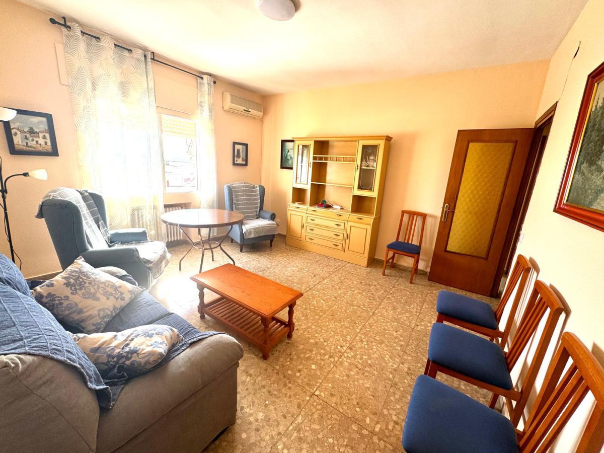 Sala d'estar de Pis de lloguer en Badajoz Capital amb Aire condicionat, Calefacció i Moblat