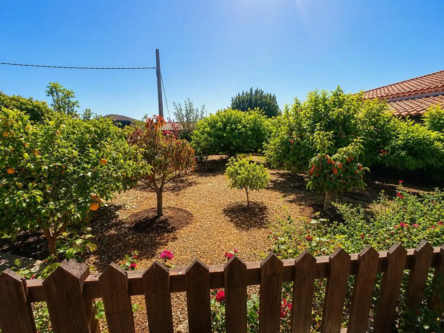 Jardí de Casa o xalet en venda en San Miguel de Abona amb Jardí privat, Traster i Piscina