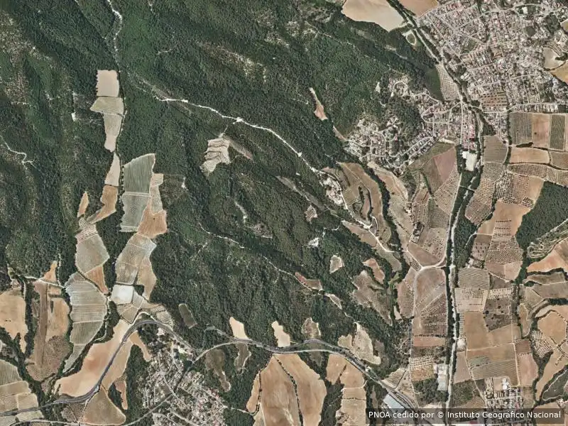 Appartamento in vendita a Piera, imagen 4