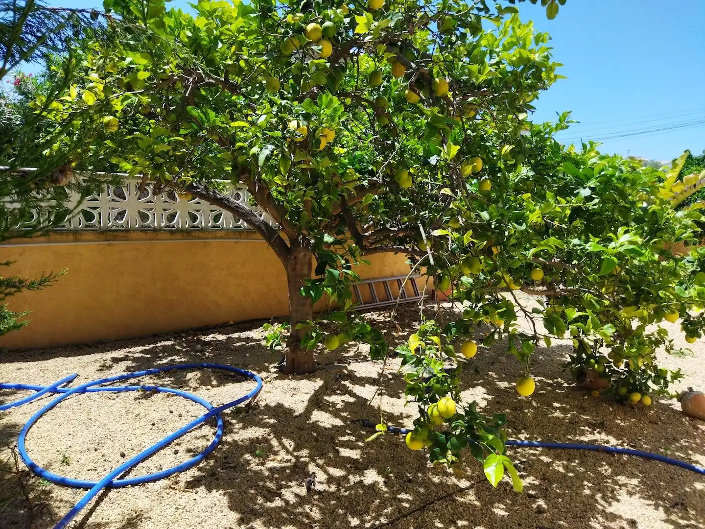 Maison avec jardin à vendre à Canuta, imagen 11