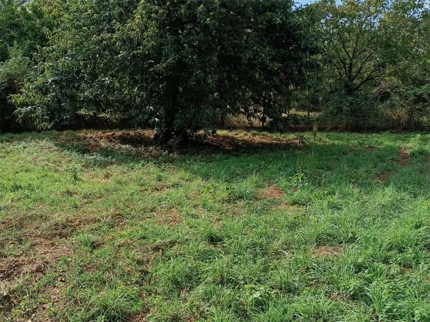 Terreno en venta en Maceda, Ourense