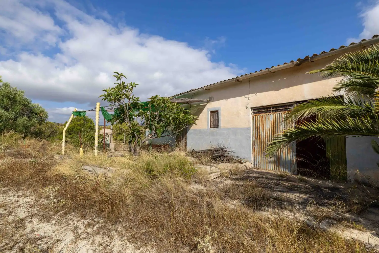 Vista exterior de Finca rústica en venta en Mula