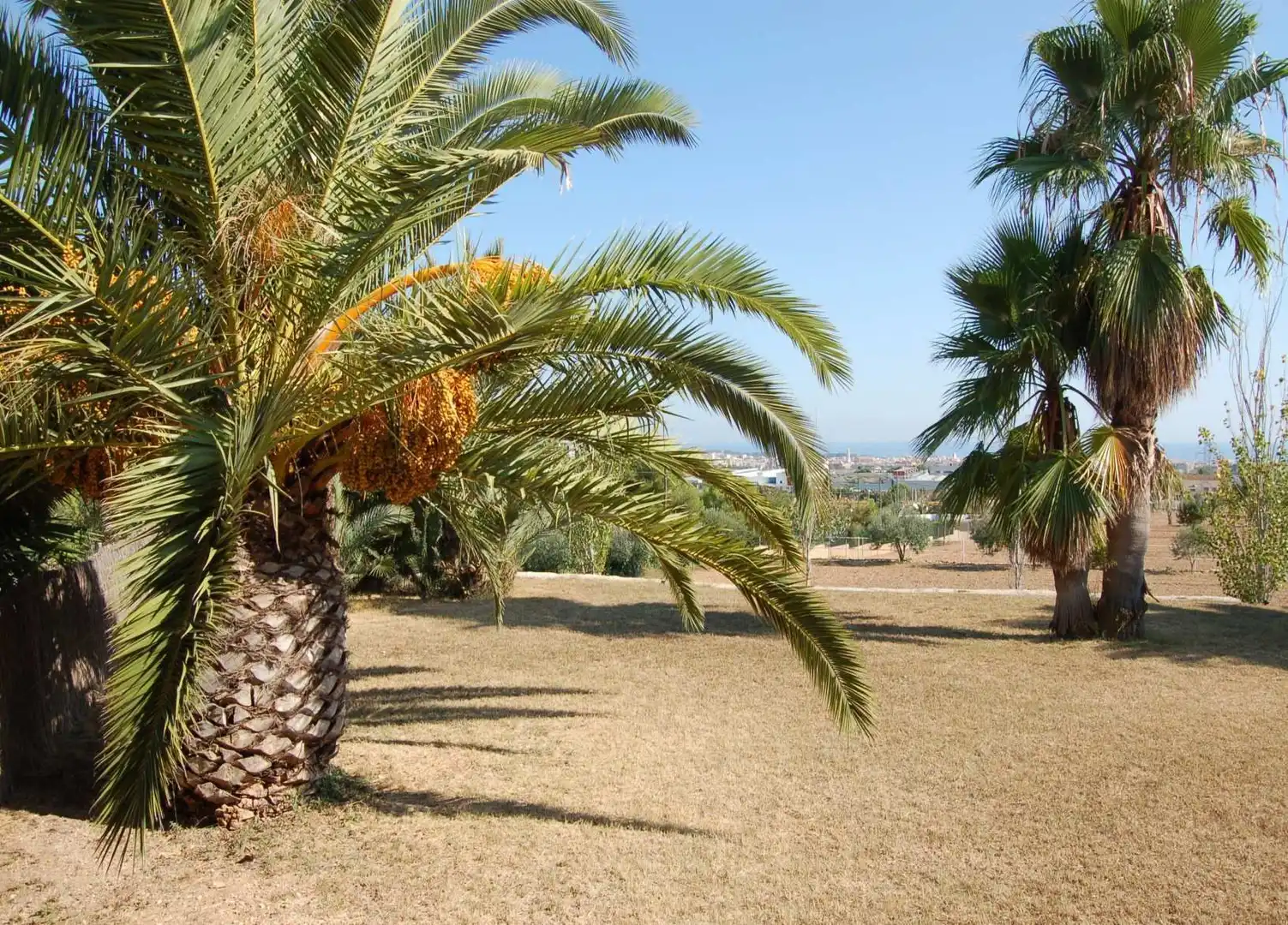 Finca rústica en venda en Vilanova i la Geltrú amb Aire condicionat, Calefacció i Traster