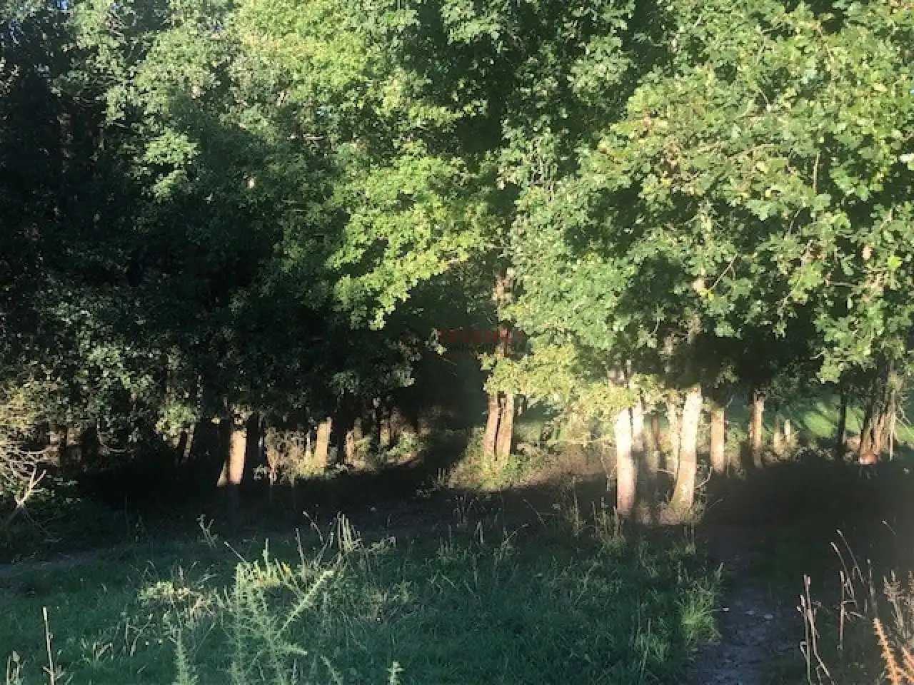 Terreni e lotti in vendita a Nogueira de Ramuín, imagen 15