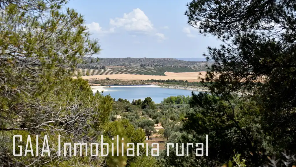 Terreny rústic en venda a Maella, imagen 9