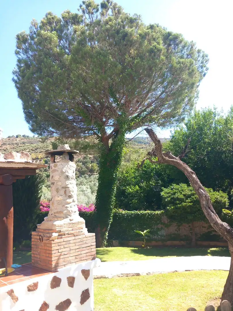 Jardí de Casa o xalet de lloguer en Órgiva amb Terrassa