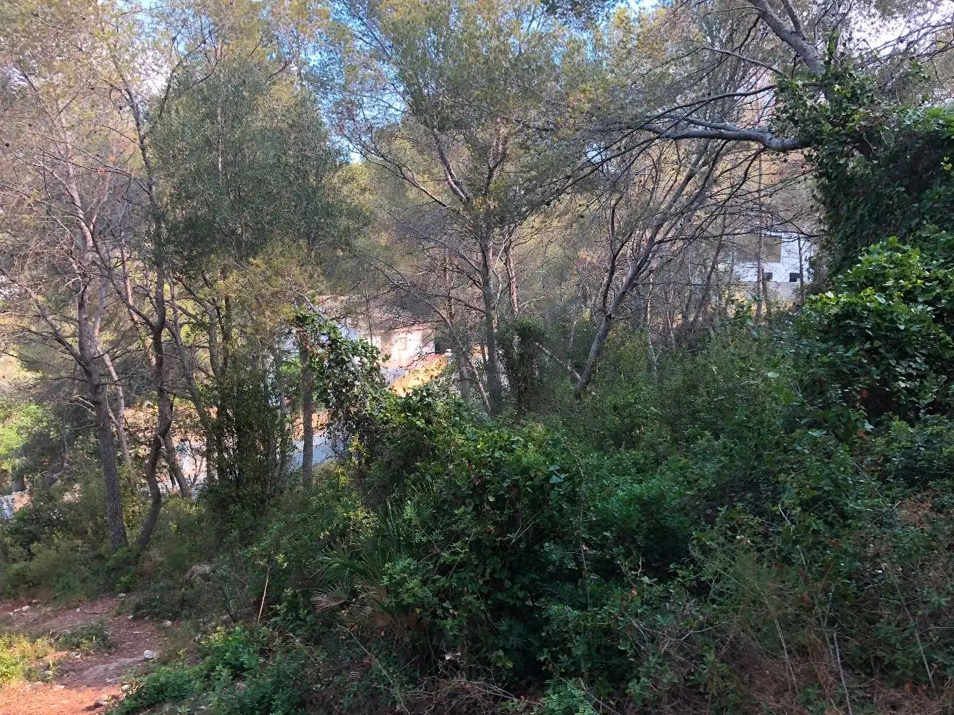 Wohnbaugrundstück zum Verkauf in La Móra, imagen 4