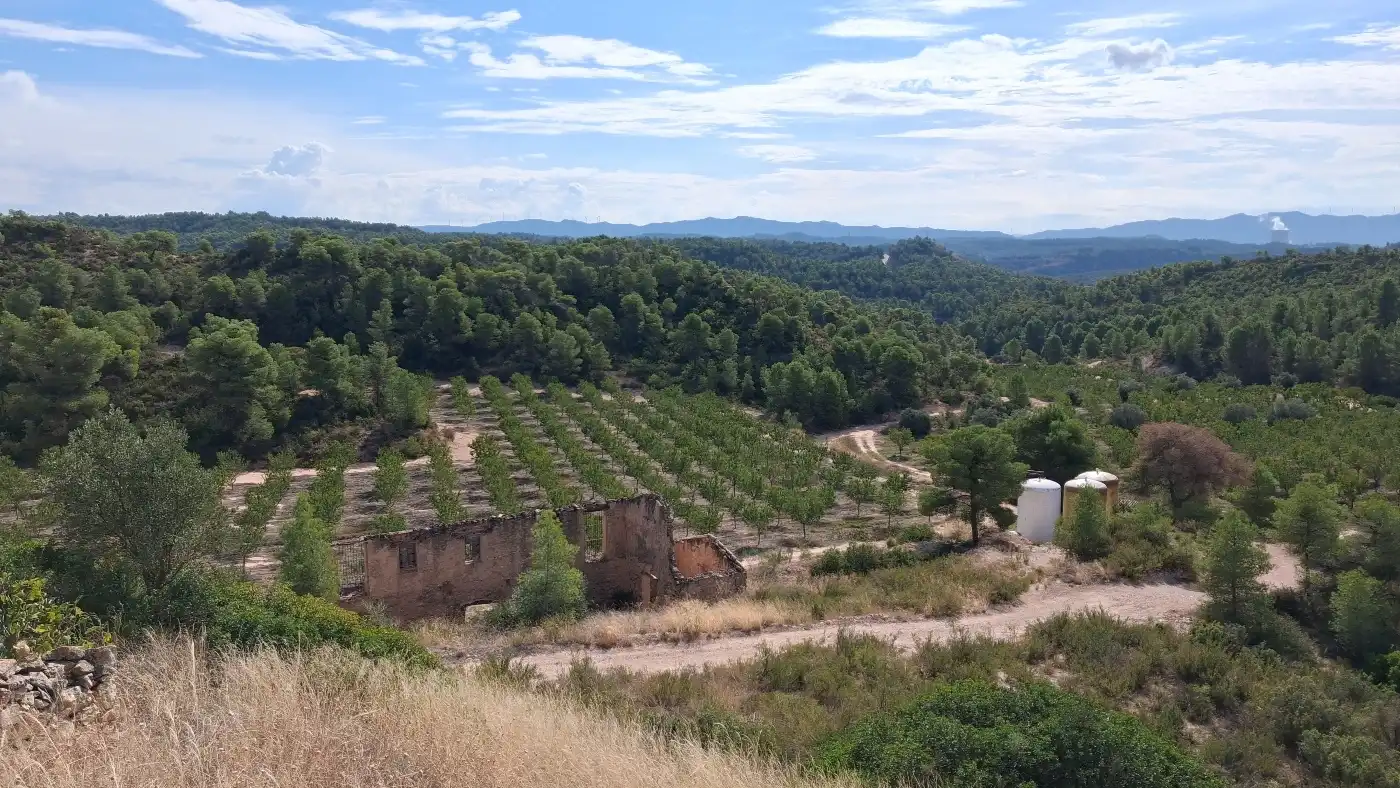 Maison rustique avec terrasse à vendre à C-233, imagen 28