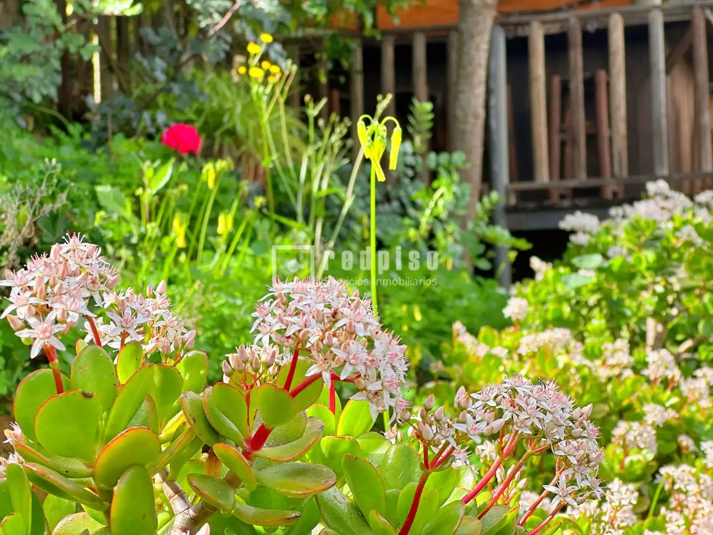 Haus mit Garten zum Verkauf in Diseminados, imagen 30
