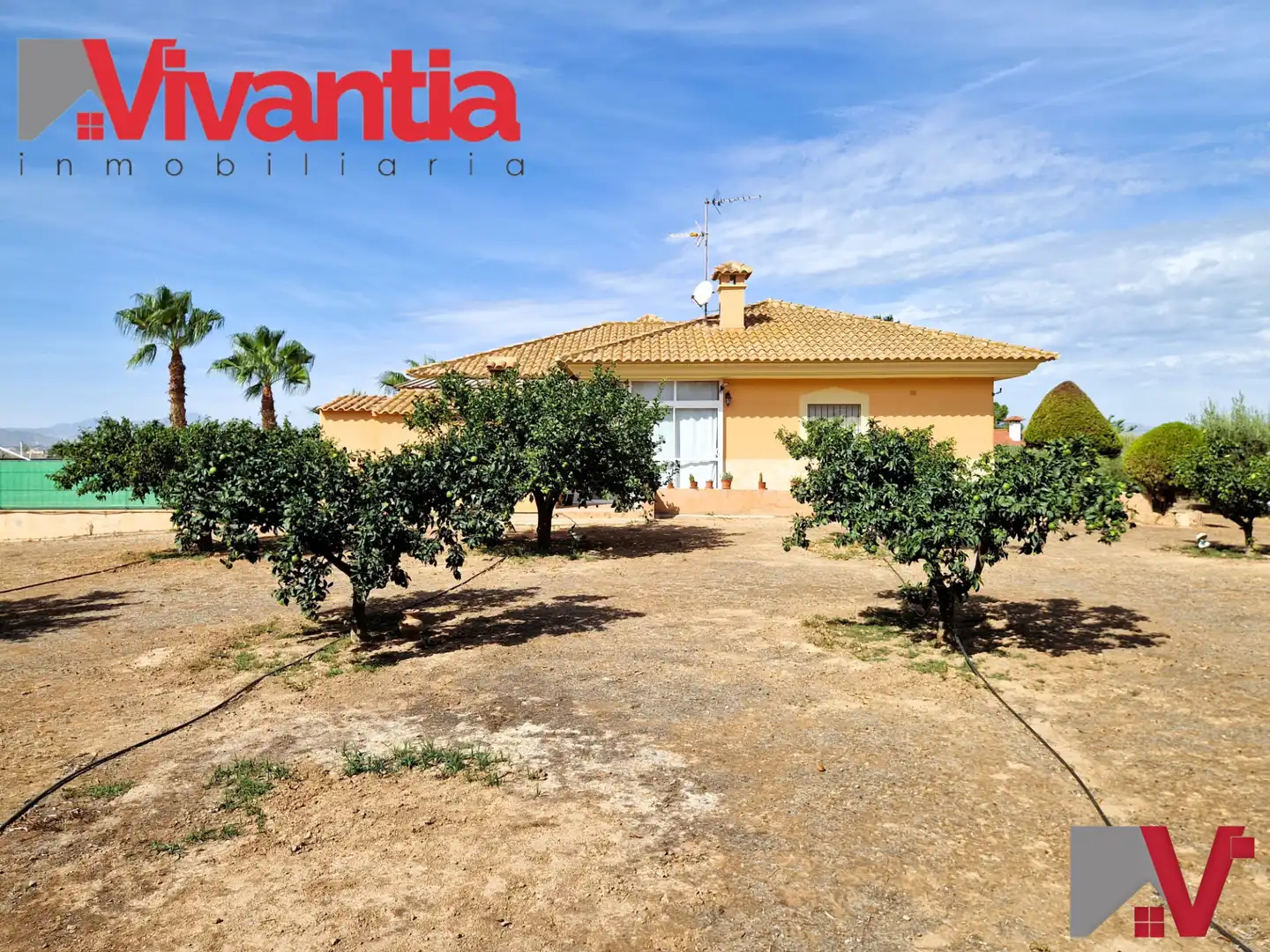 Chalet con piscina en venta en Pedanías Sur, imagen 8