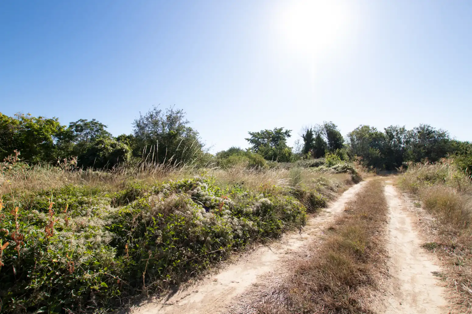 Land for sale in Tafalla - PARAJE MAKOTXA, Tafalla