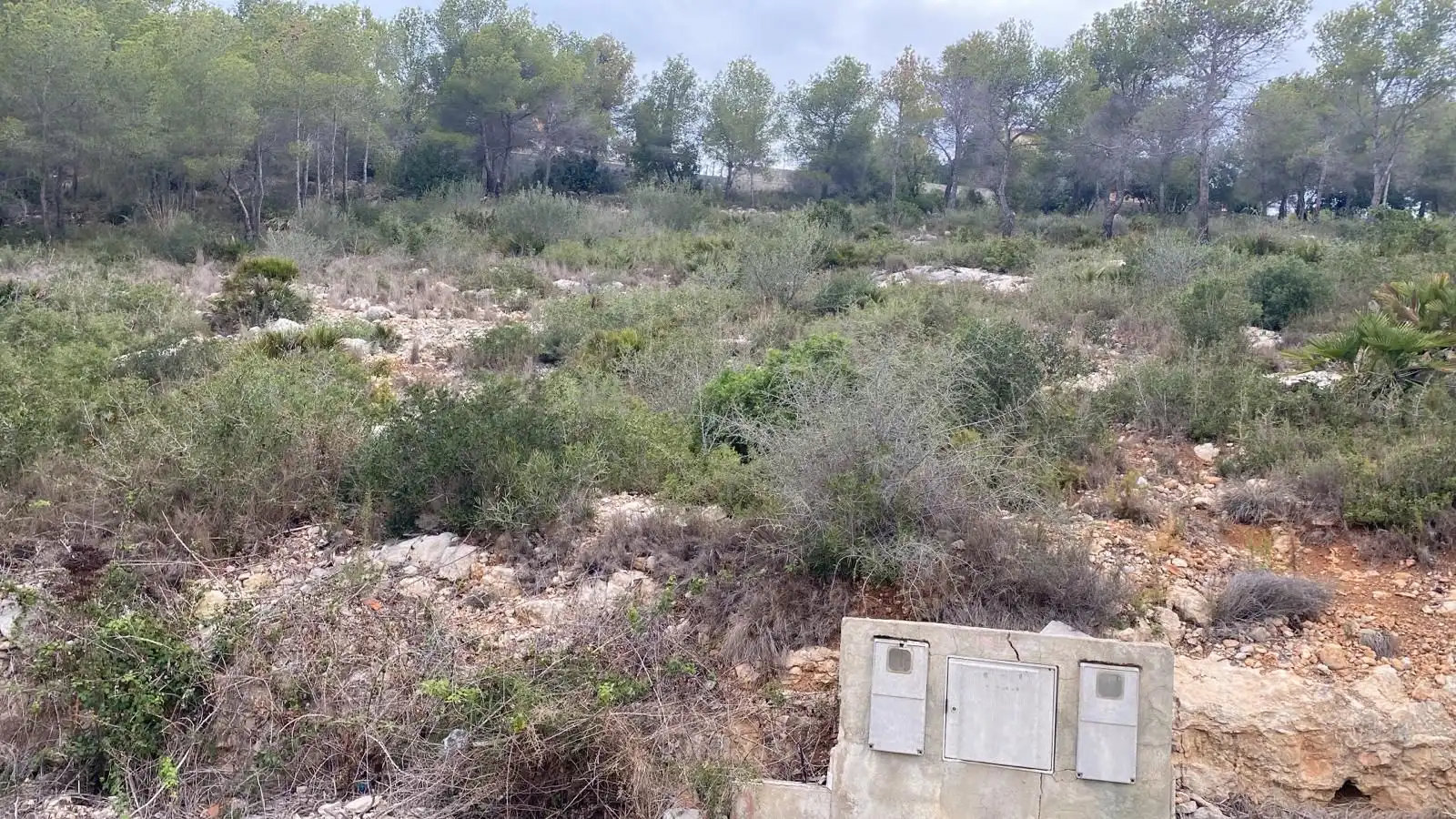 Terreno residencial en venta en Avenida de los Rosales 38