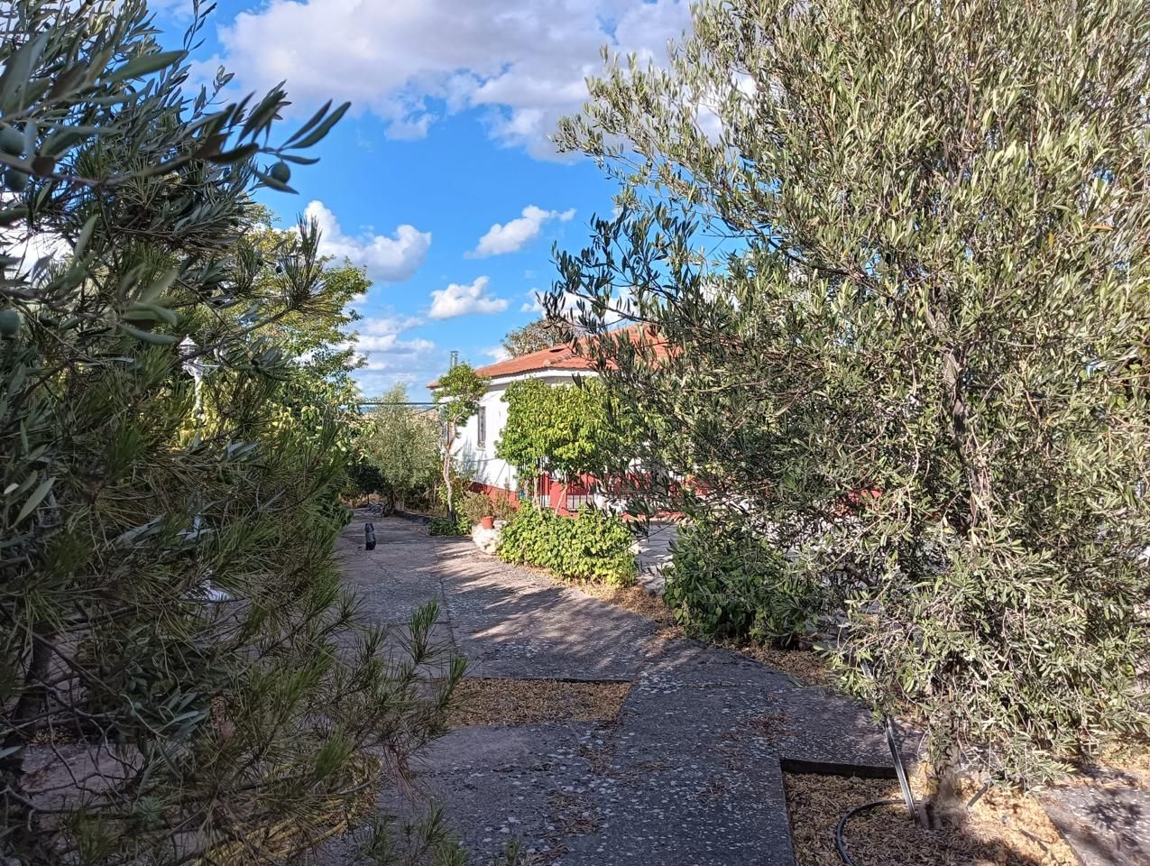 Jardí de Casa o xalet en venda en Barajas de Melo amb Calefacció i Piscina