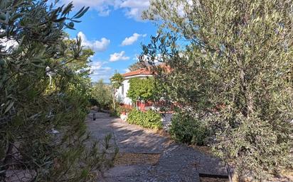 Garden of House or chalet for sale in Barajas de Melo  with Heating and Swimming Pool
