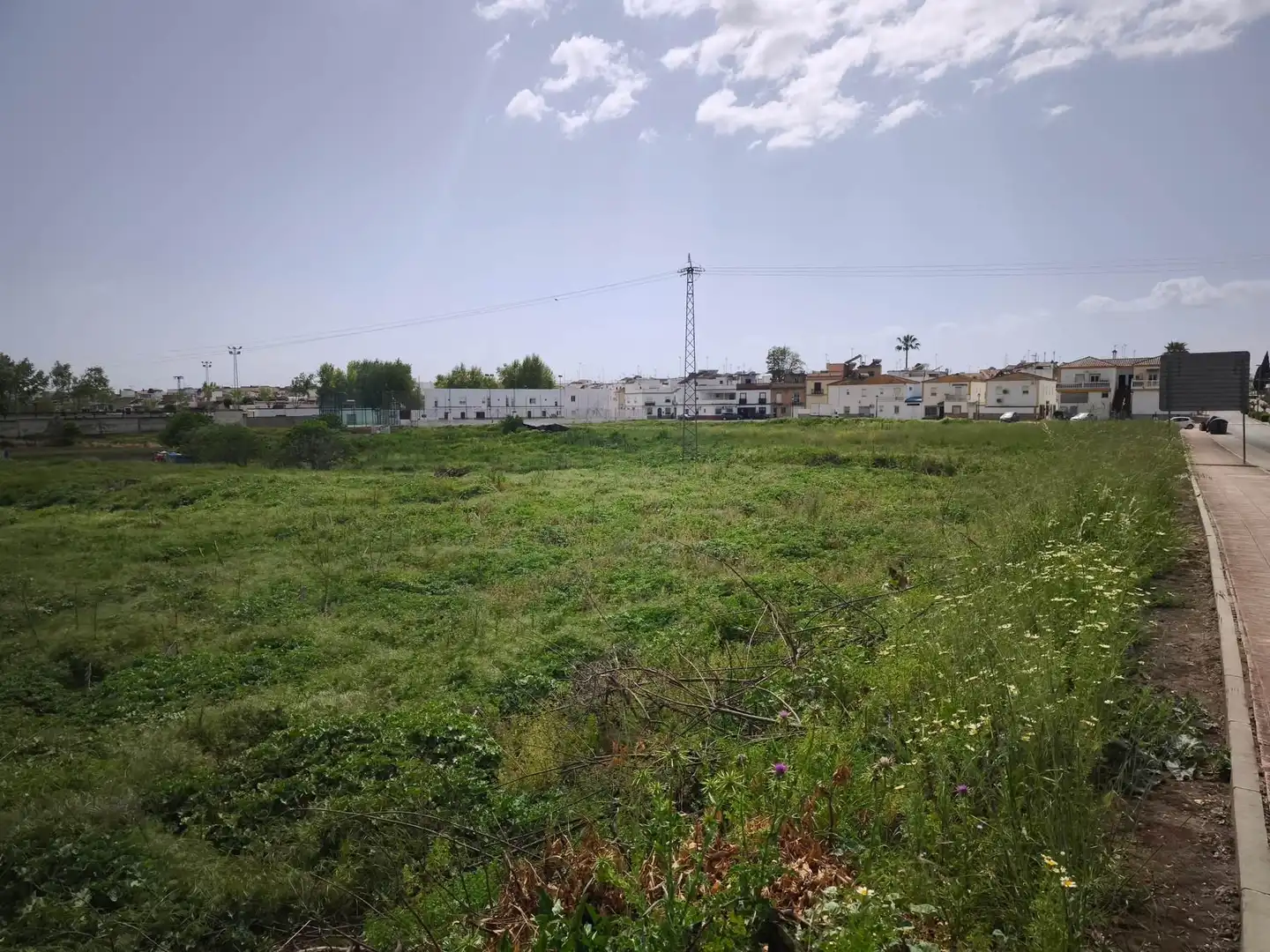 Terreno residencial en venta en Arcos de la Frontera, imagen 7