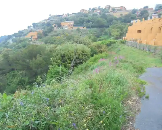 Terreny residencial en venda a Carrer de Sa Riera, imagen 2