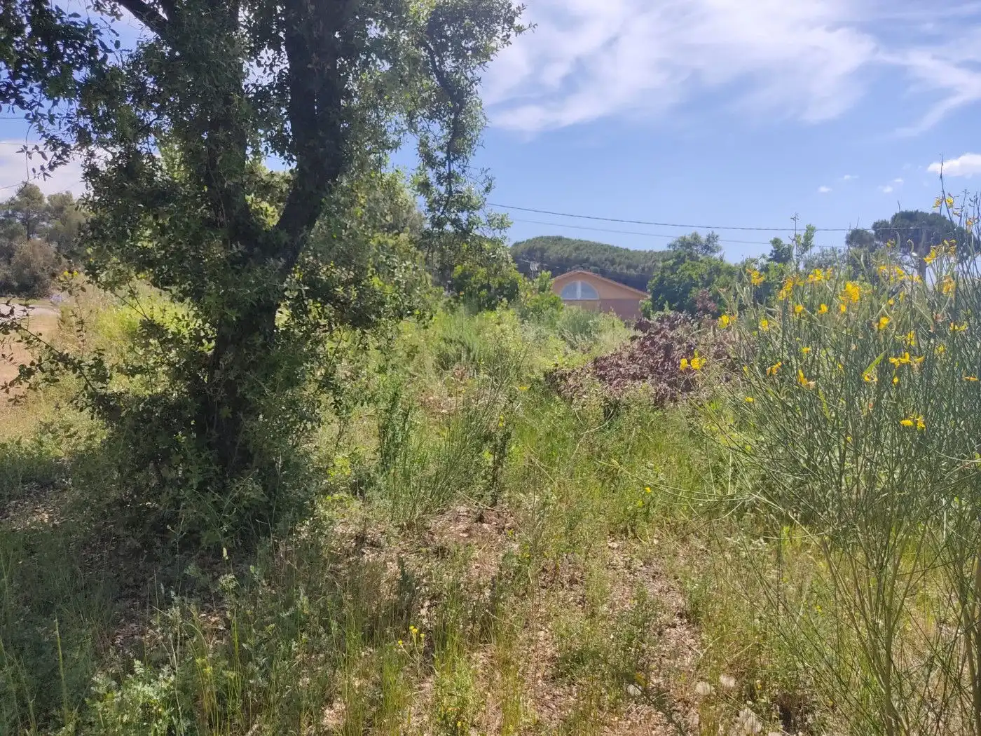 Residential land for sale in Sant Pere de Vilamajor, imagen 4