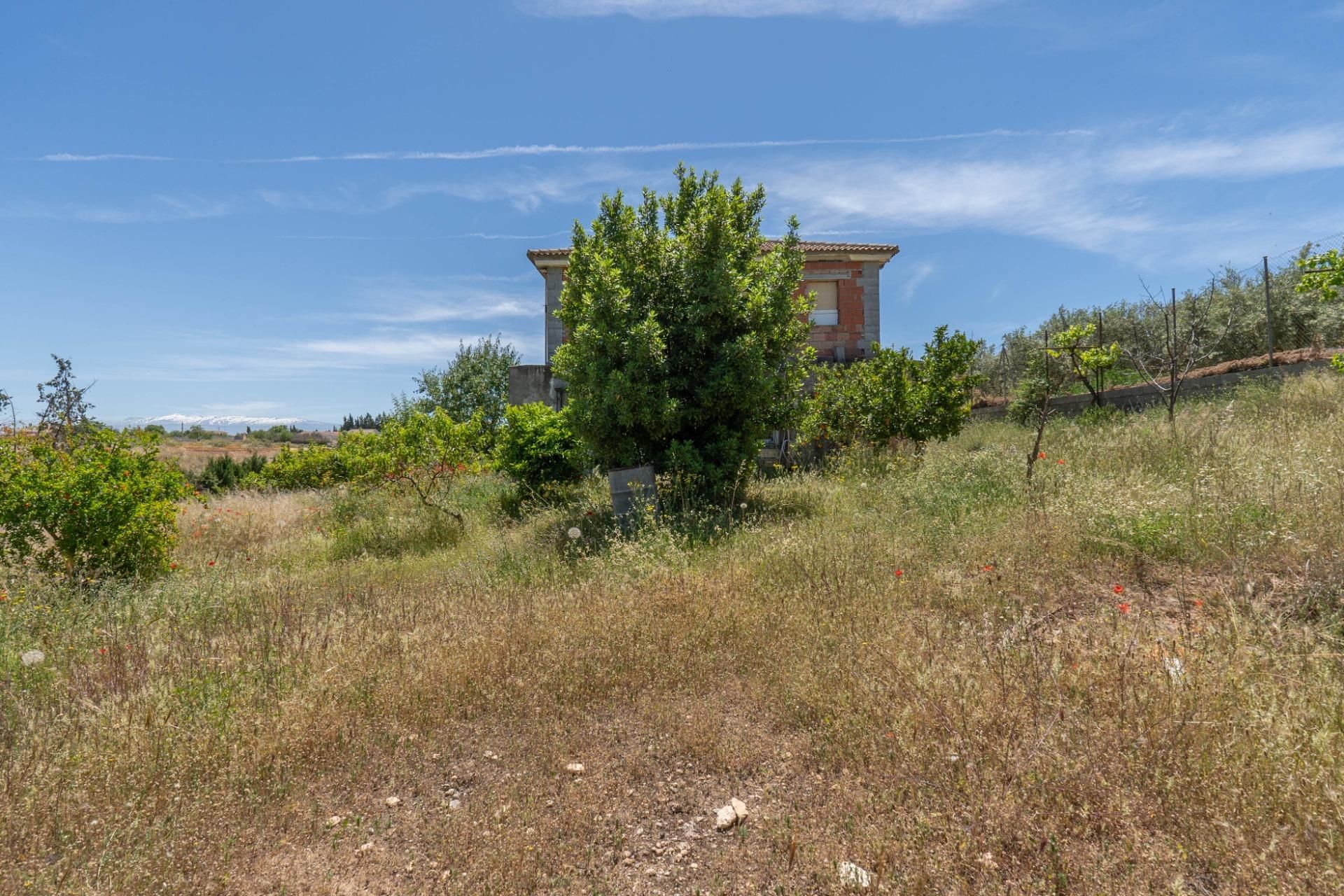House or chalet for sale in Moraleda de Zafayona  with Private garden