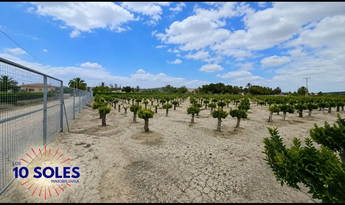 Terreno rústico en venta en Jacarilla, imagen 6
