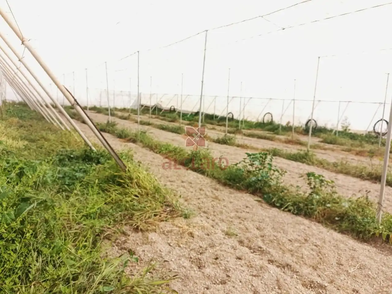 Terreni e lotti in vendita a Arico, imagen 14