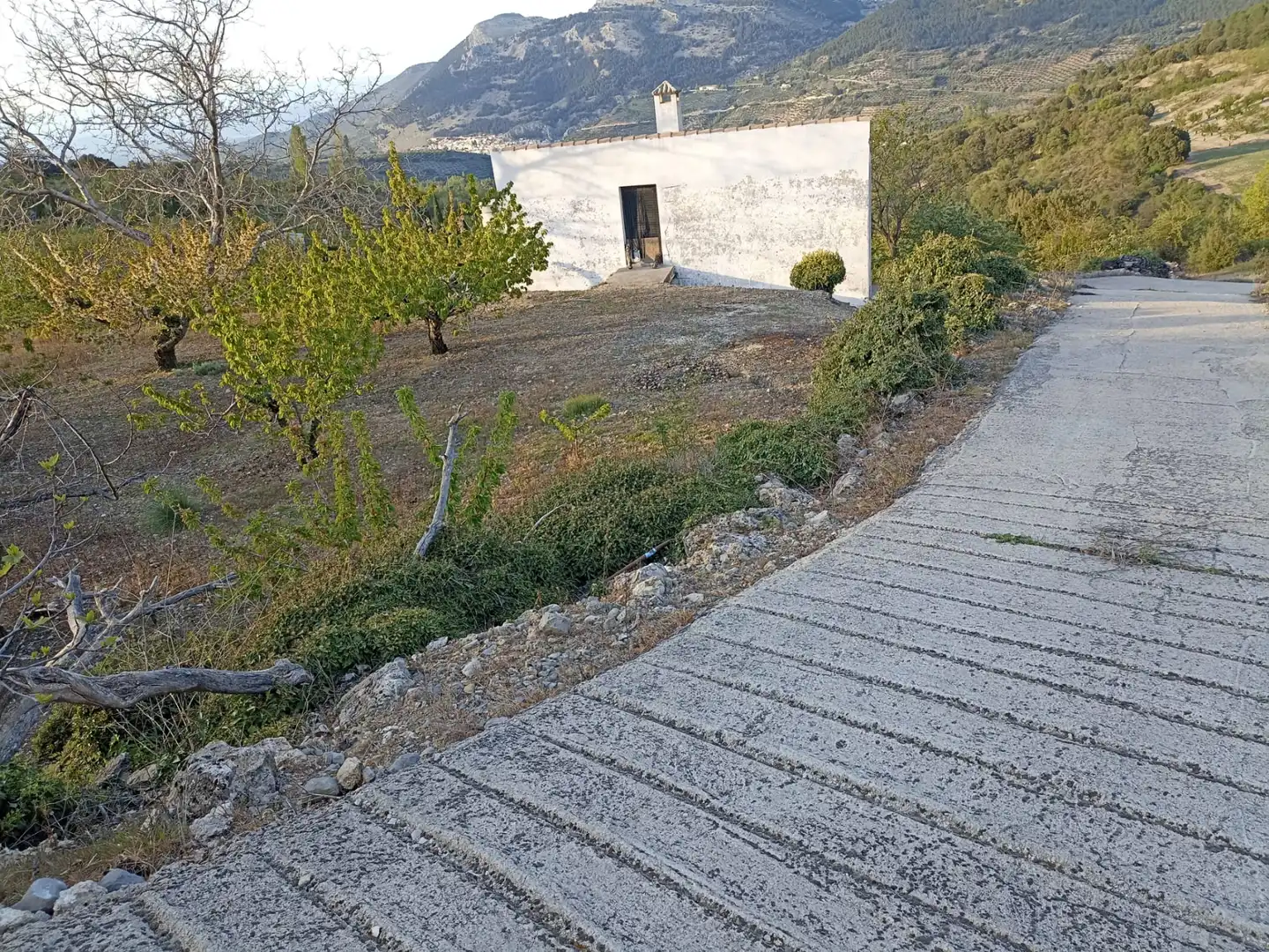Exterior view of Land for sale in Torres