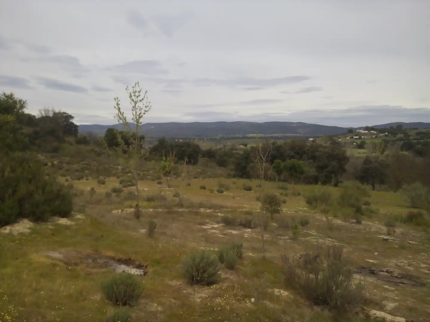 Terreno en venta en Aldea del Fresno