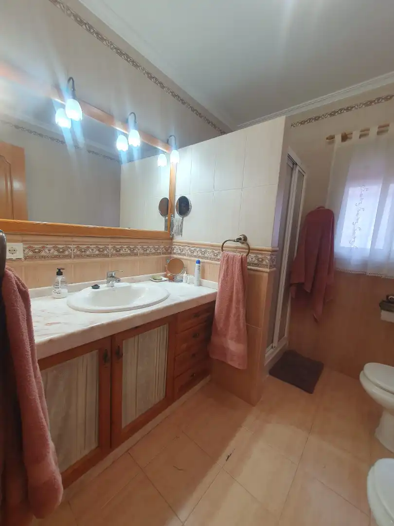 Villa con terrazza in vendita a Guadix, imagen 43