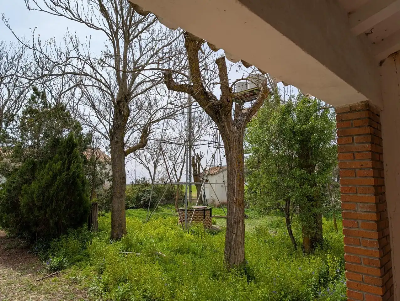 Jardín de Finca rústica en venta en Pozorrubio de Santiago con Jardín privado, Piscina y Sauna