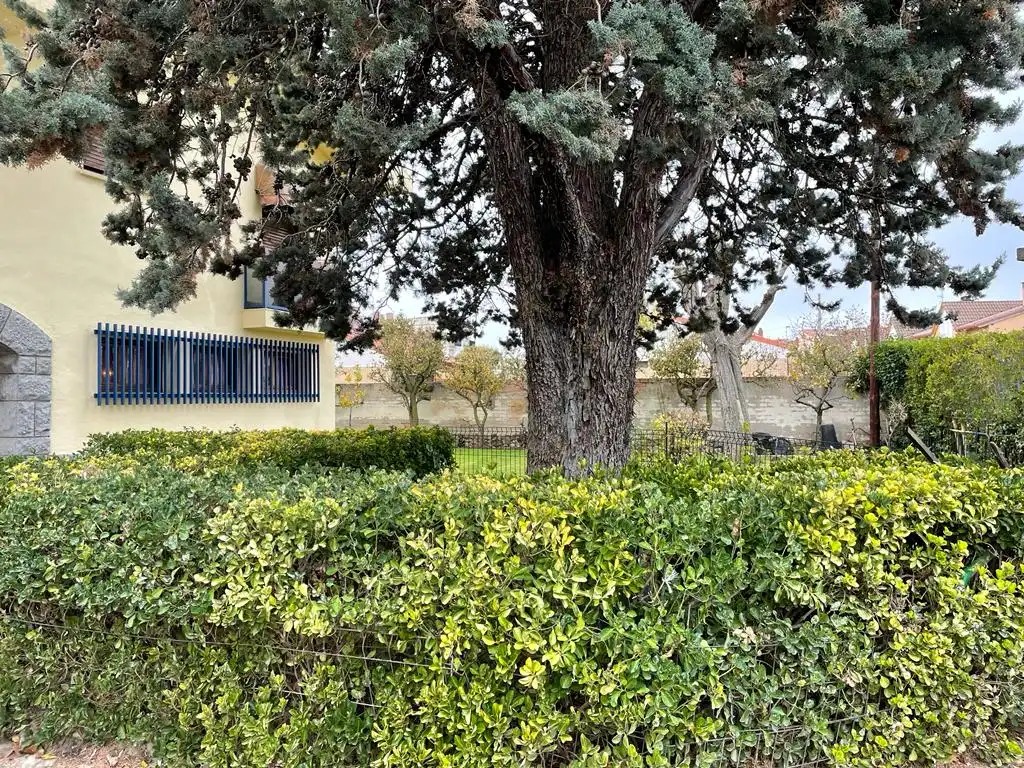 Vista exterior de Casa o xalet en venda en Castañares de Rioja amb Calefacció, Jardí privat i Parquet