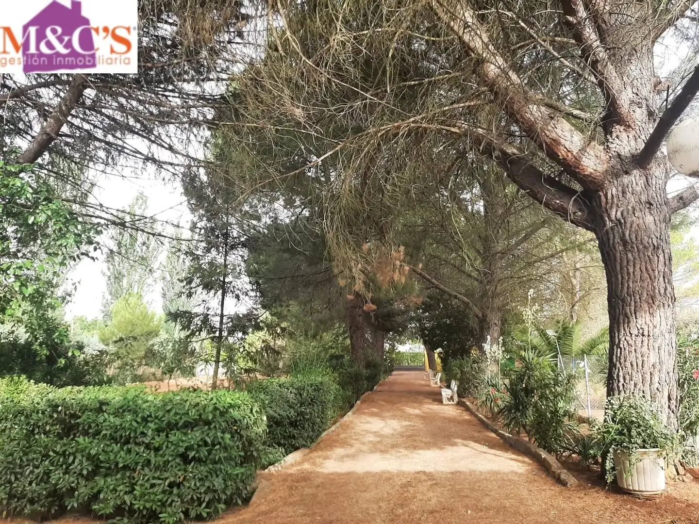 Chalet en venta en Villamayor de Calatrava, imagen 5