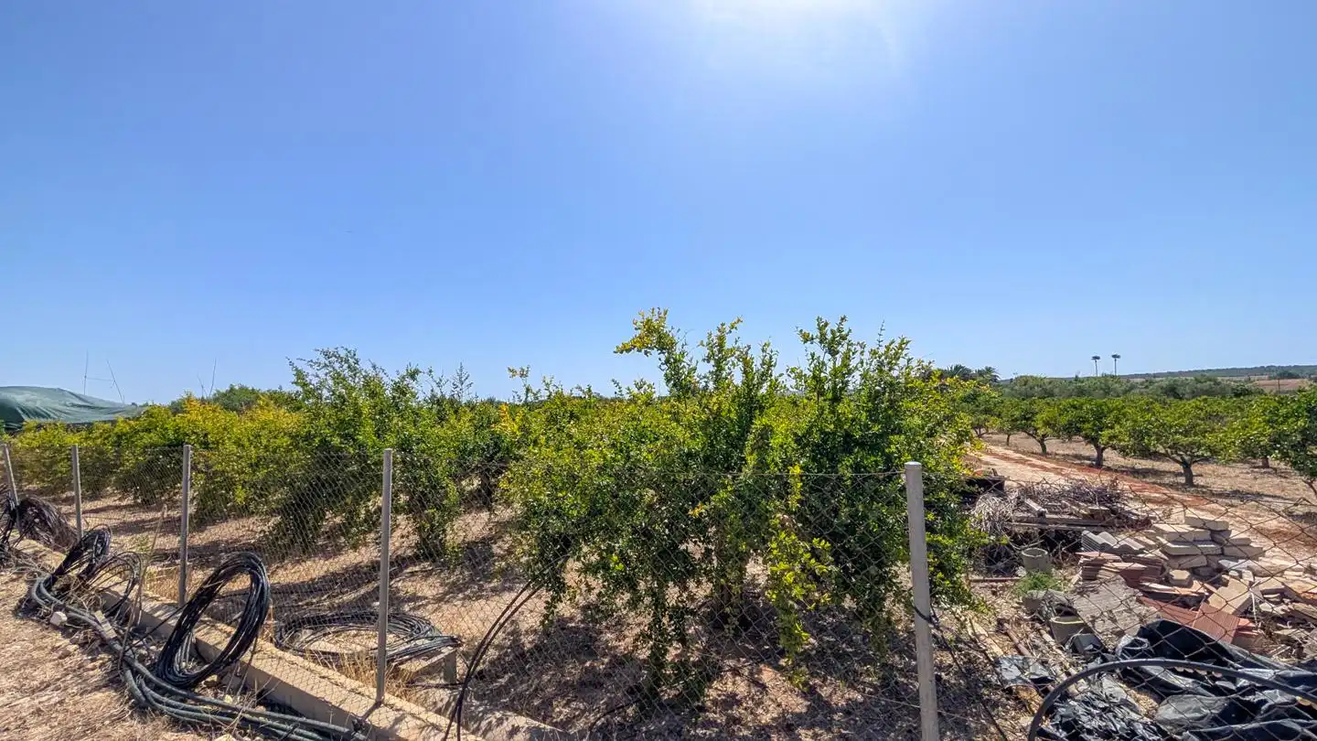 Casa o xalet en venda en Elche / Elx amb Aire condicionat, Jardí privat i Terrassa