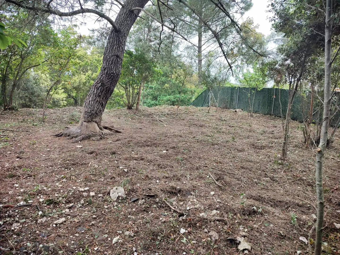 Residential for sale in Vallgorguina