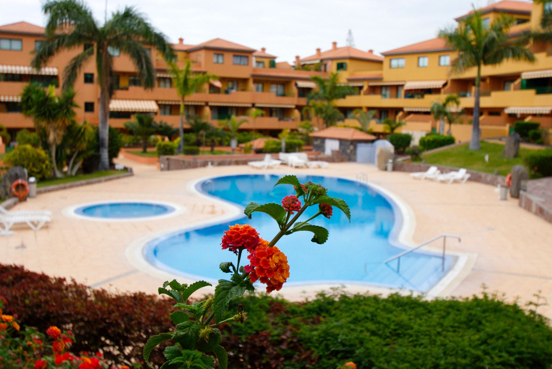 Schwimmbecken von Dachboden zum verkauf in Puerto de la Cruz mit Terrasse, Möbliert und Ofen