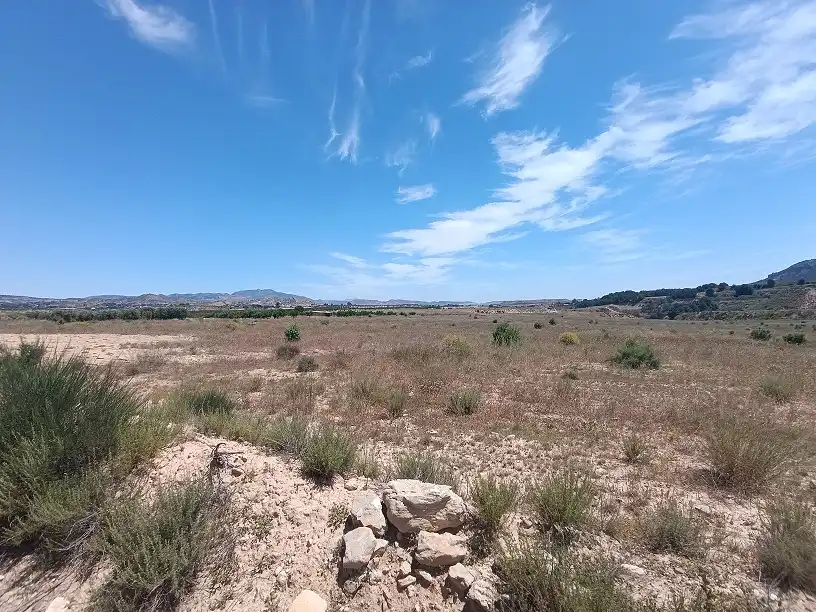 Lands and plots for sale in Mula, imagen 29